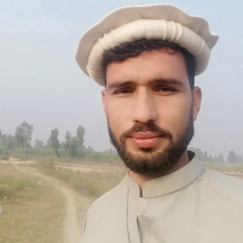 Ali k. profile photo