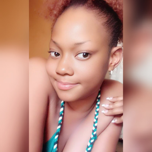Shims N. profile photo