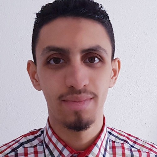 Ayoub A.