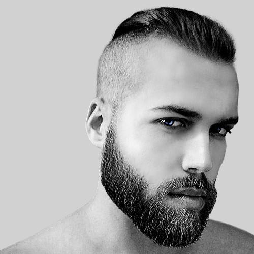 Dima S.