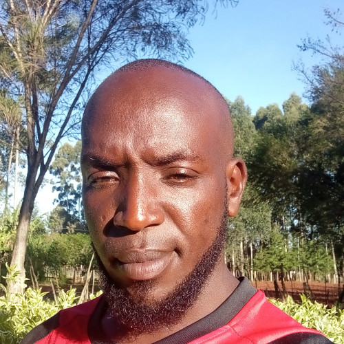 Daniel K. profile photo