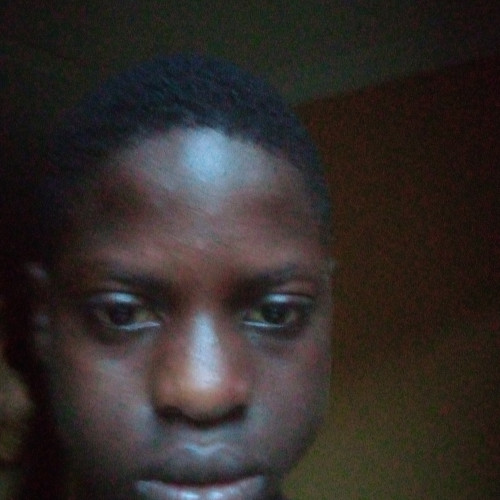 King D. profile photo