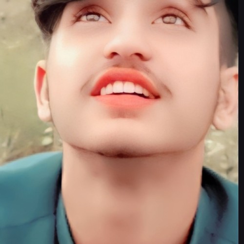 Mehran J. profile photo