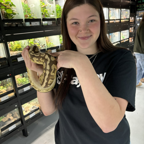 Kali W. profile photo