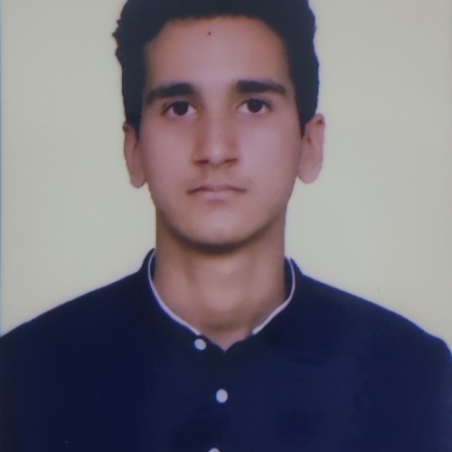 Parshant K.