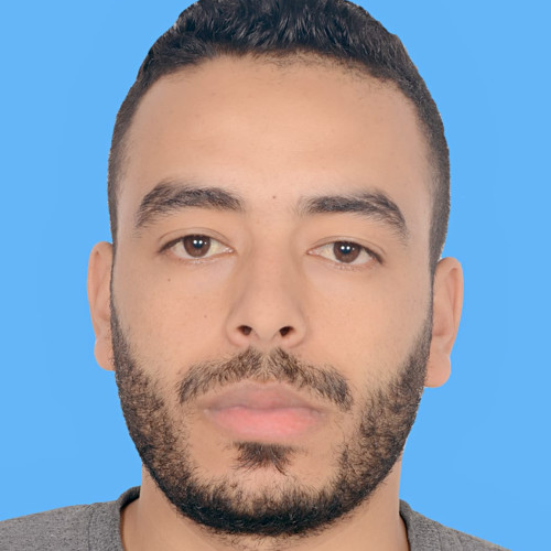 Elmostafa A.