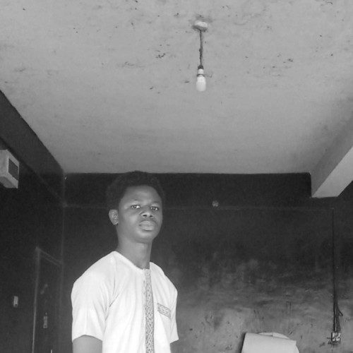 elevate e.