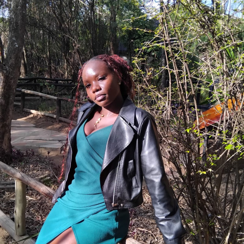 Mary N. profile photo