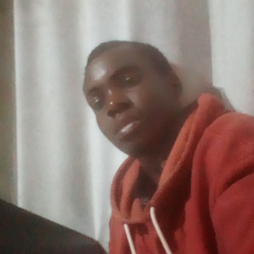 Oparanozie  C.
