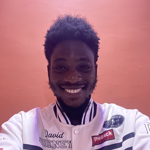 Demilade B. profile photo