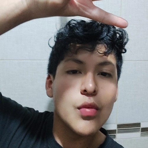 Sebastian C. profile photo