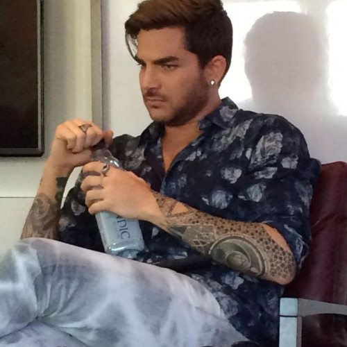 Majesty  D. profile photo