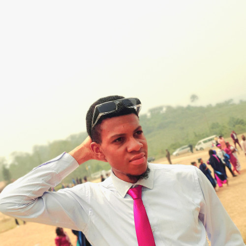 Akinyemi E.