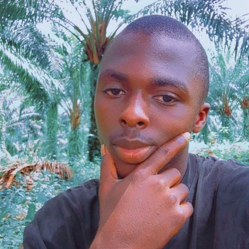 obi s. profile photo