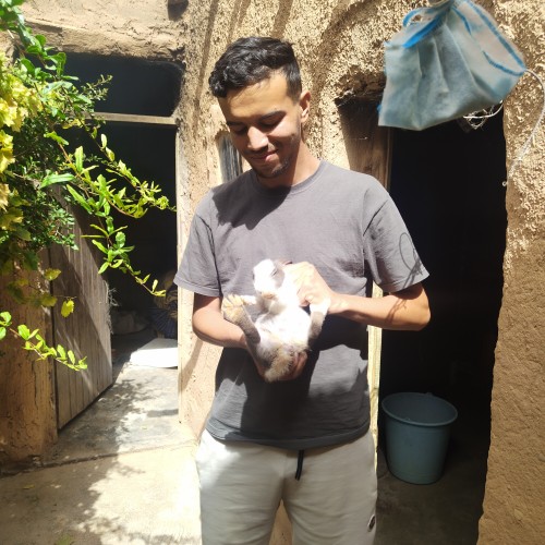 Yassine R. profile photo