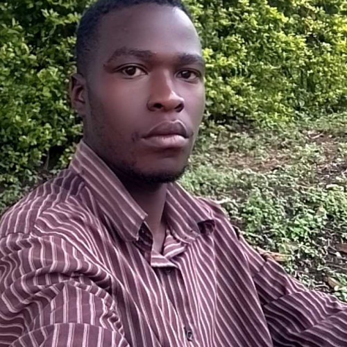 Musiitwa L. profile photo