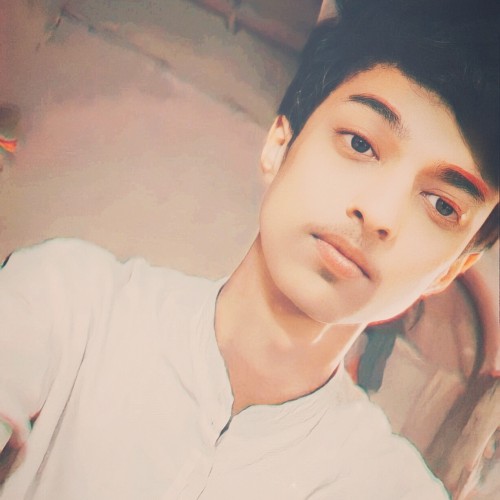 Malik Faizan A.