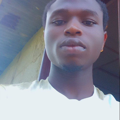 Temi T. profile photo