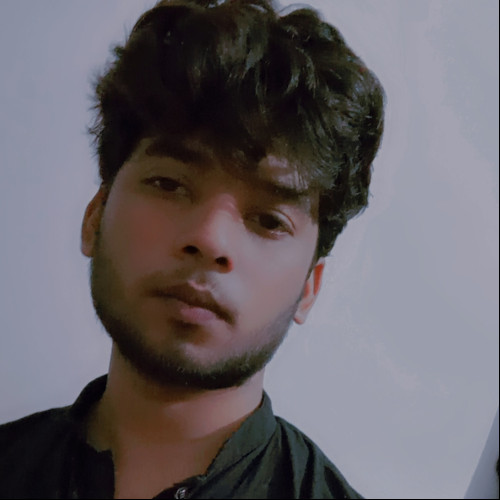 Ali H. profile photo