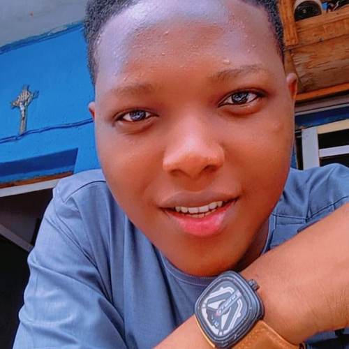 Imoleoluwa D. profile photo