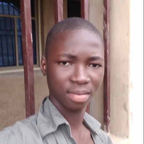 Akande  D. profile photo