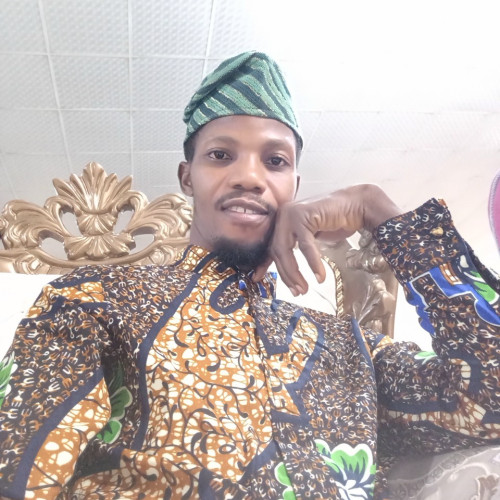 adeyemi o. profile photo