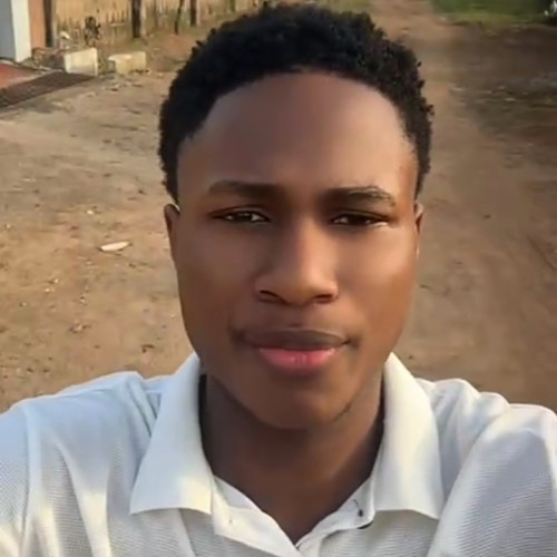 Okafor  S. profile photo