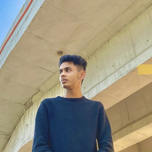 Himanshu C.