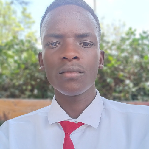 Nyakagwa O. profile photo