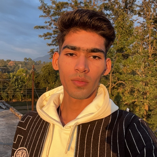 Ansh  K. profile photo