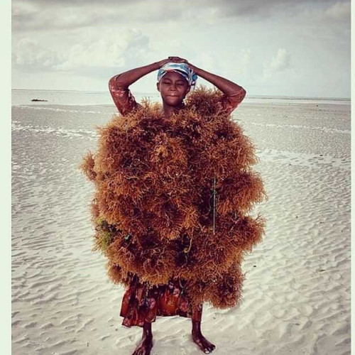 David N. profile photo