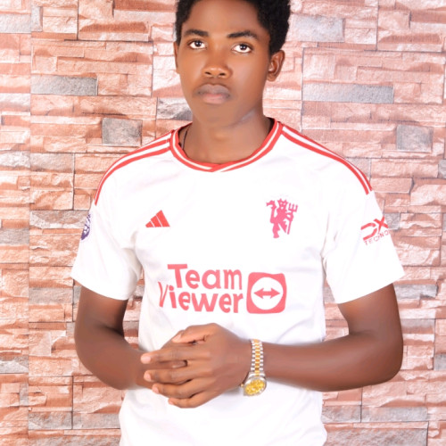 Felix N. profile photo