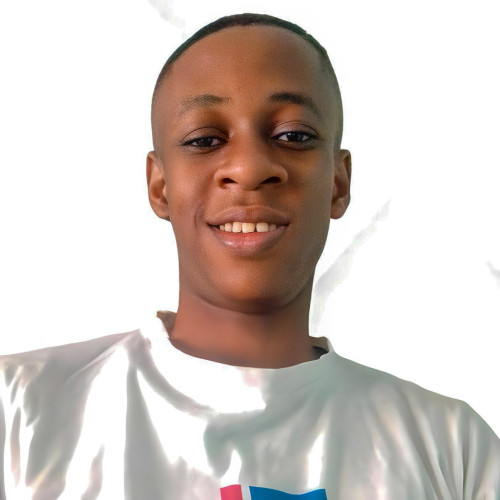 Chukwunuru A. profile photo