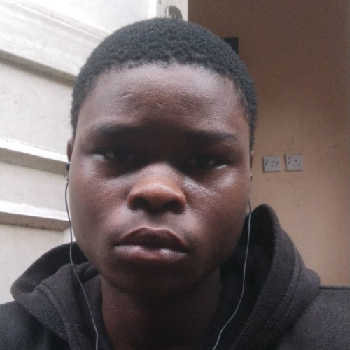 Temple S. profile photo
