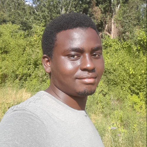 Kivi M. profile photo