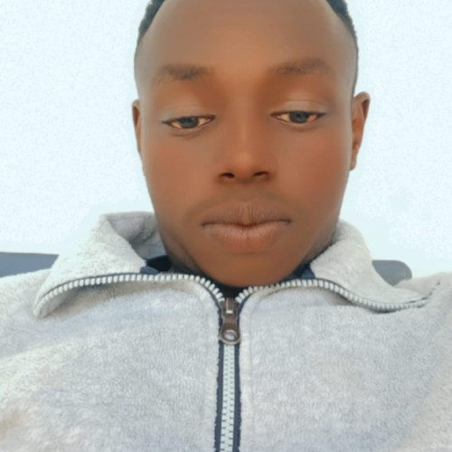 roy k. profile photo
