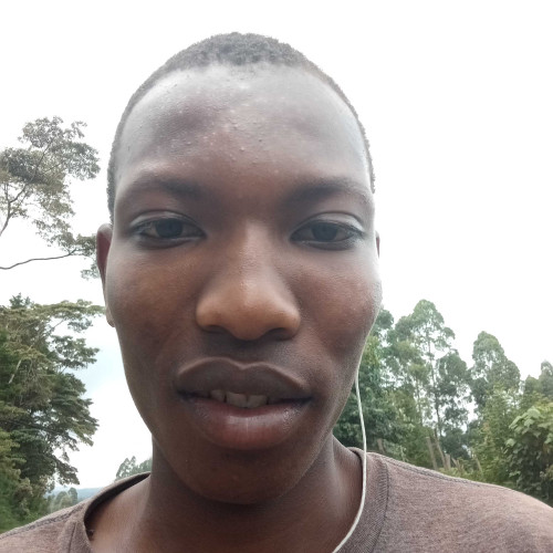 Stephen K. profile photo