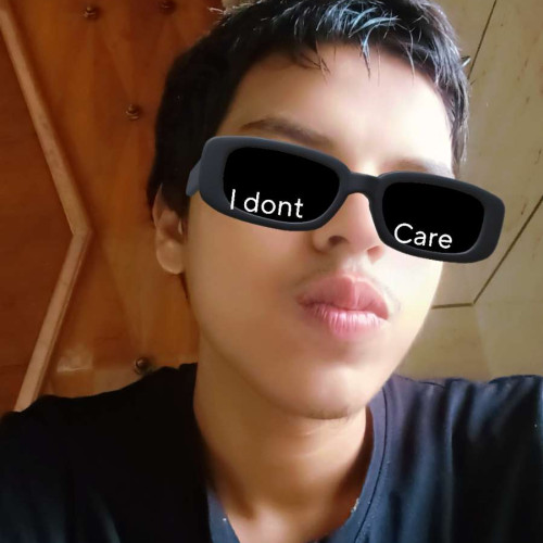 Vir S. profile photo