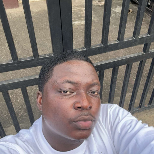 Eniola T. profile photo