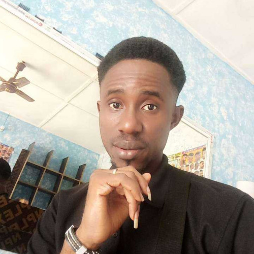 Alabaraonye O. profile photo