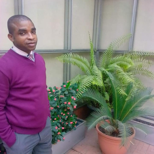 munachim Felix G. profile photo