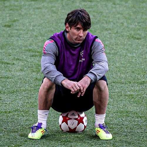 Amine M. profile photo