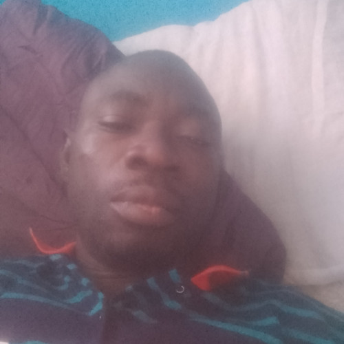 David T. profile photo