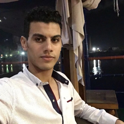 Hossam N.