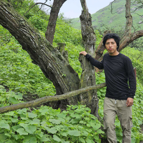 Ignacio Vilcapoma s. profile photo