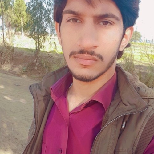 Hamza J.