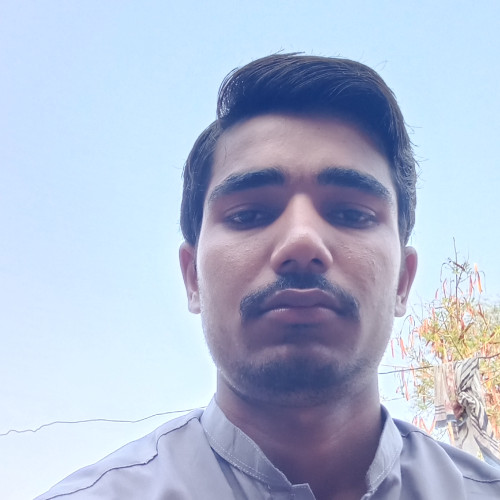 Ali H. profile photo