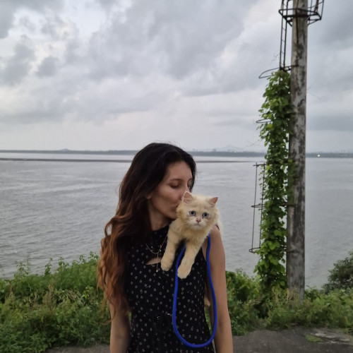 Neha N. profile photo