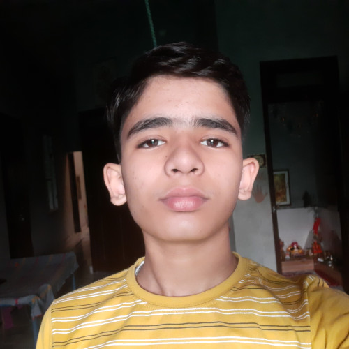 Raman K.