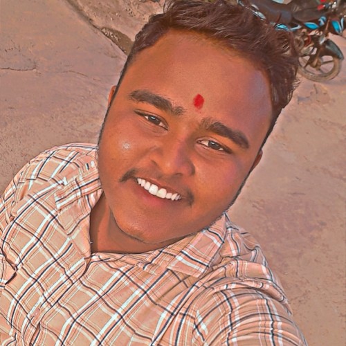 Nilesh  S. profile photo
